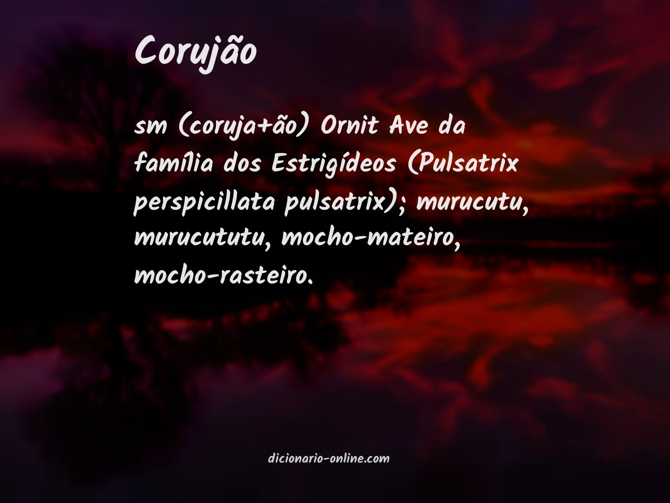 Significado de corujão