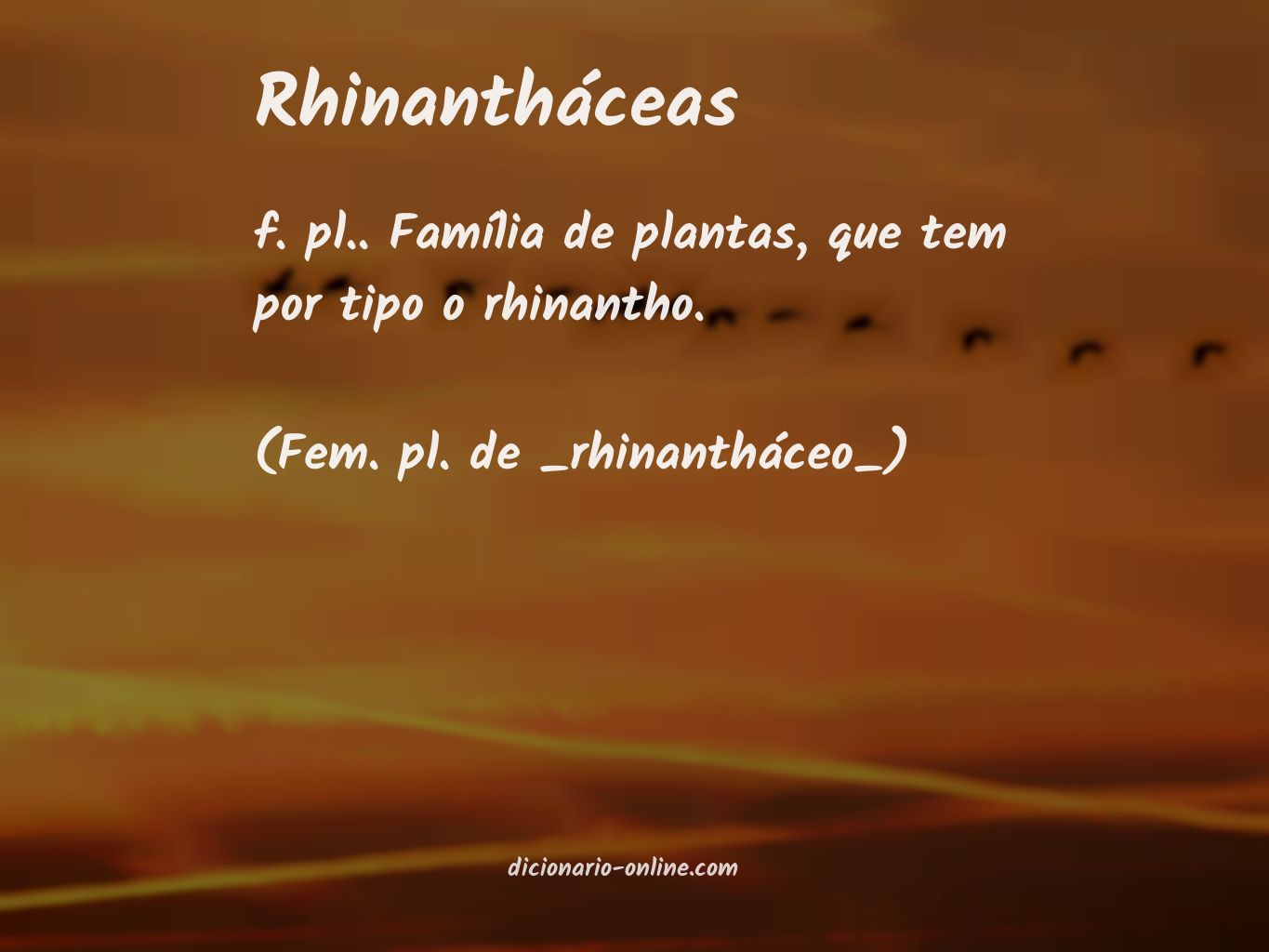 Significado de rhinantháceas