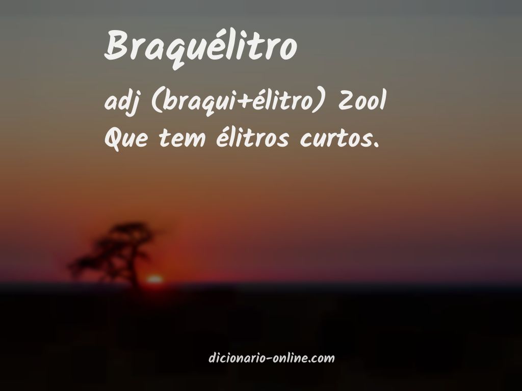 Significado de braquélitro