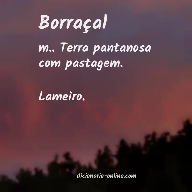 Significado de borraçal