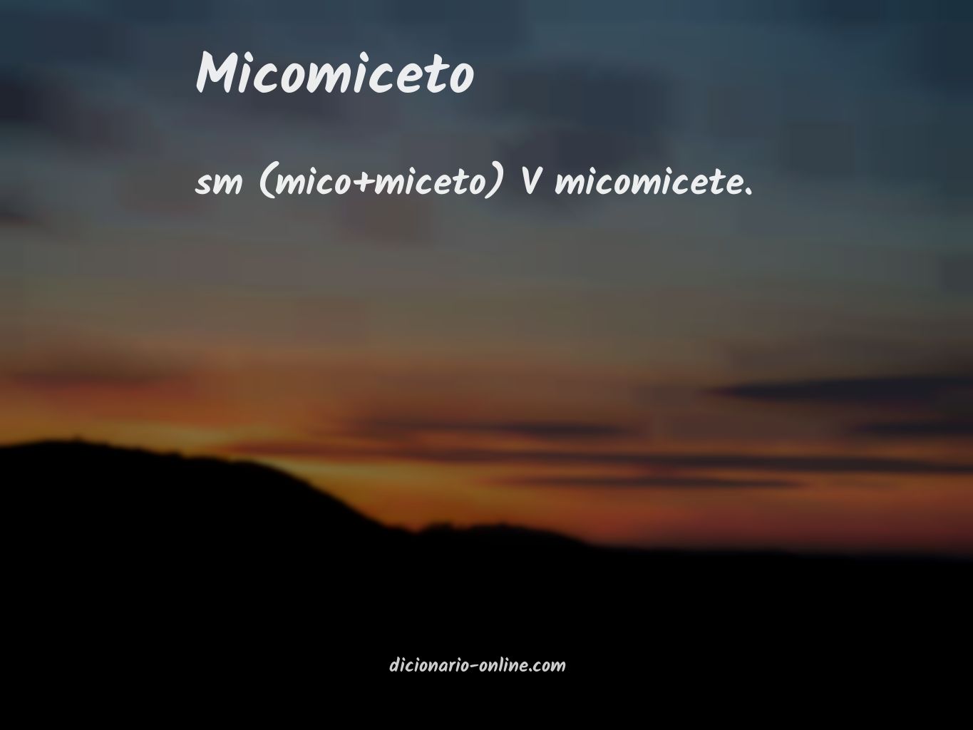 Significado de micomiceto