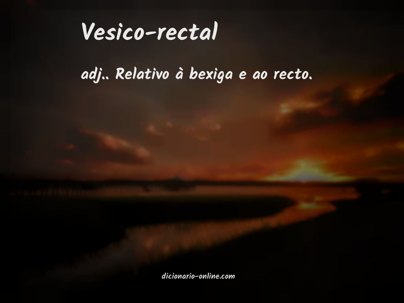 Significado de vesico-rectal