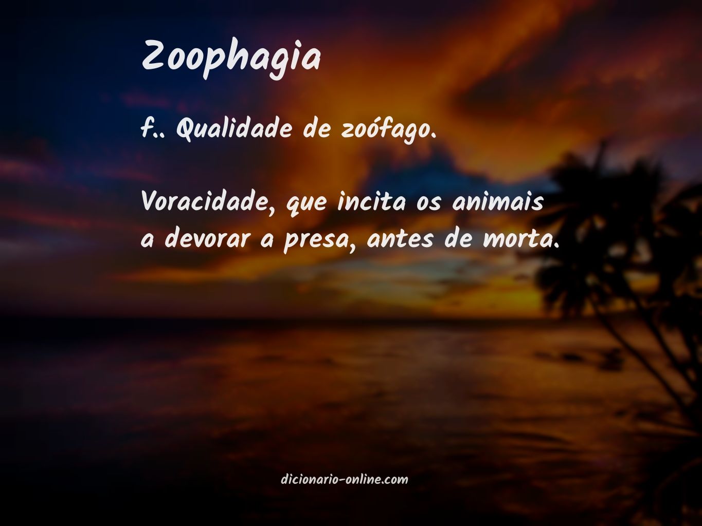 Significado de zoophagia