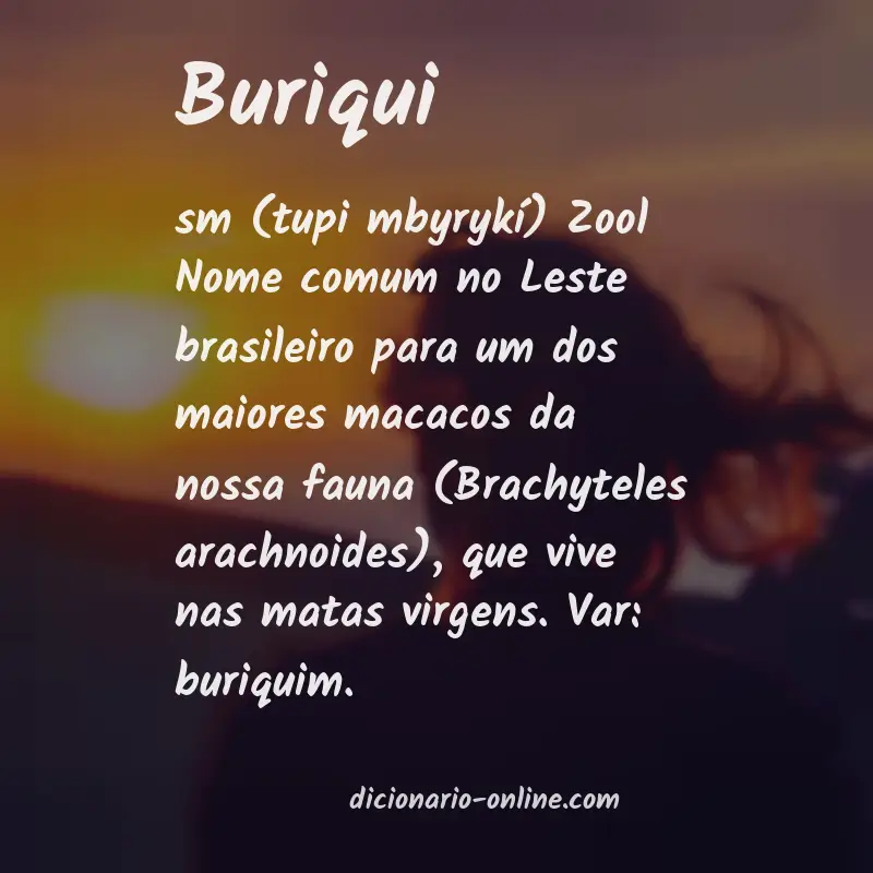 Significado de buriqui
