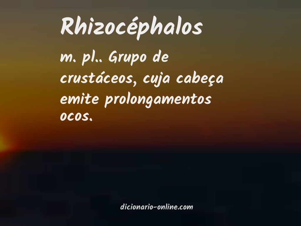 Significado de rhizocéphalos
