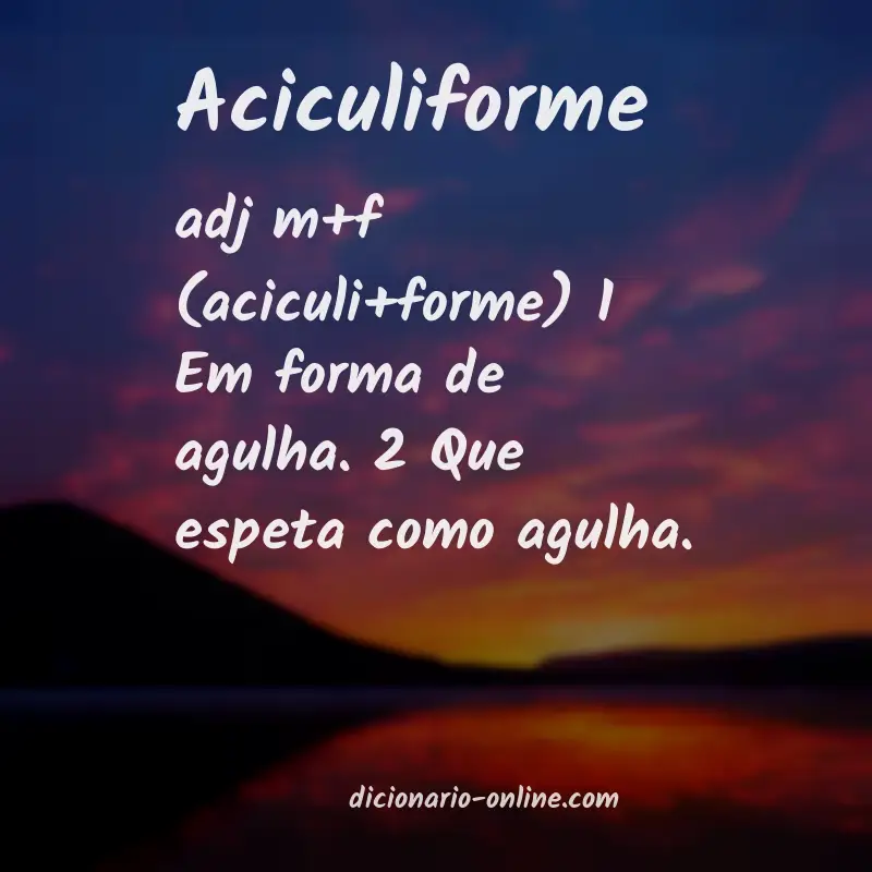 Significado de aciculiforme