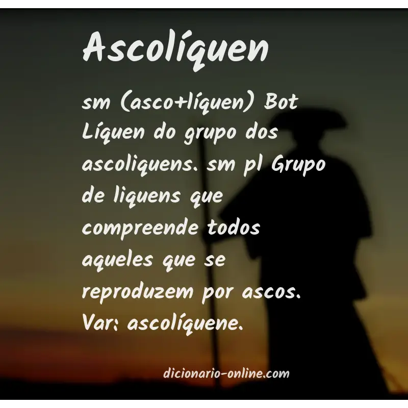 Significado de ascolíquen