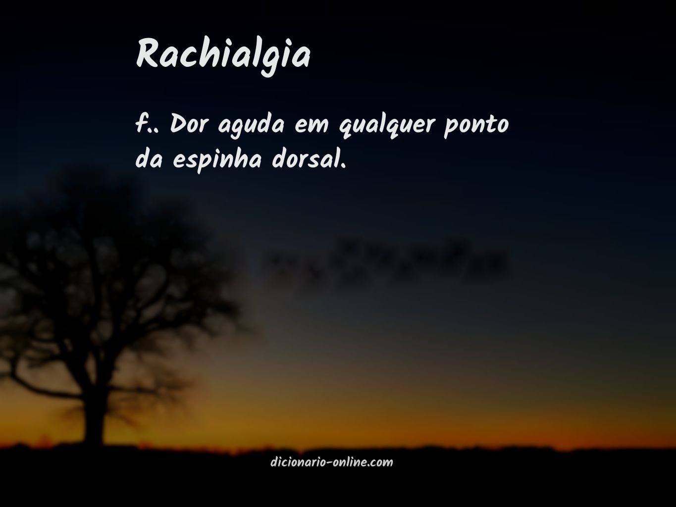 Significado de rachialgia