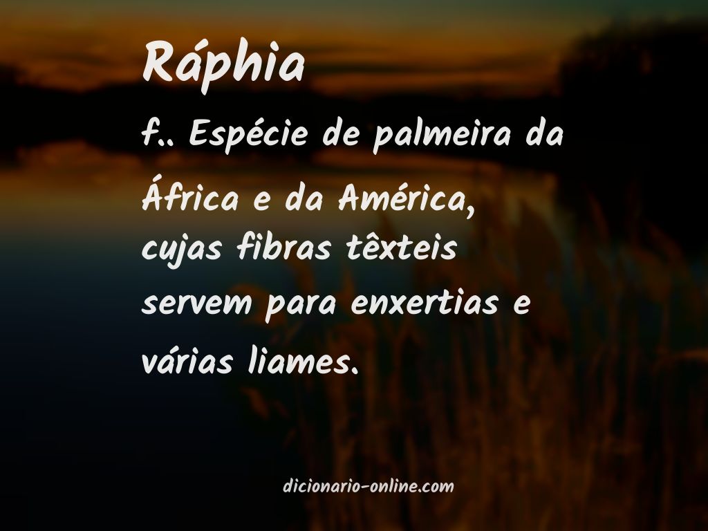 Significado de ráphia