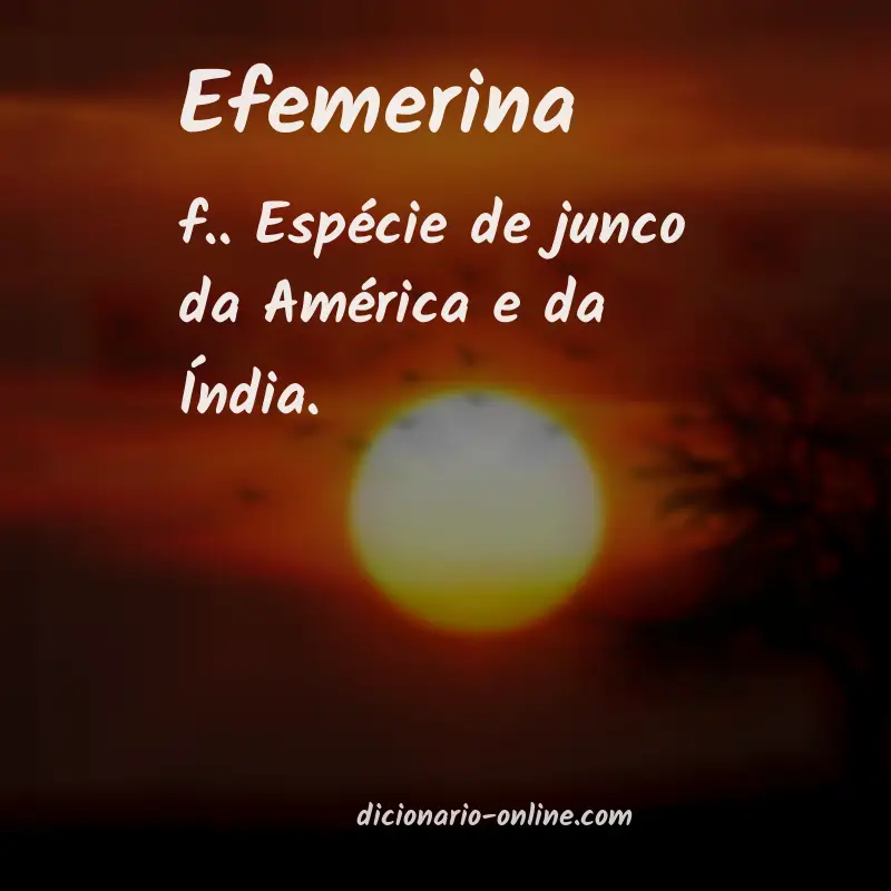 Significado de efemerina