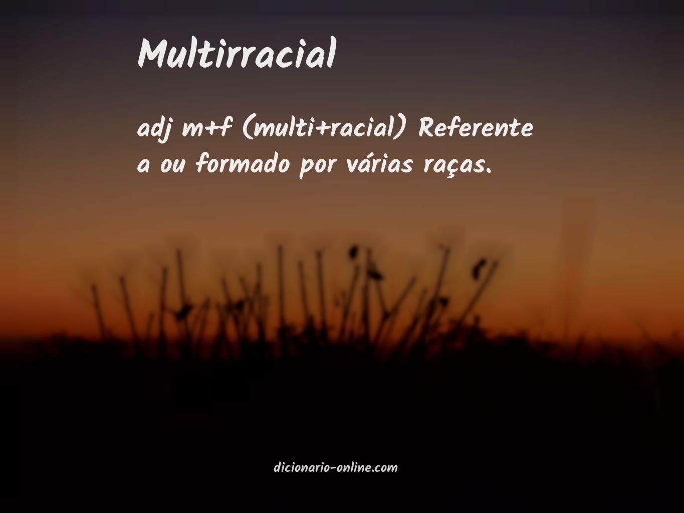 Significado de multirracial