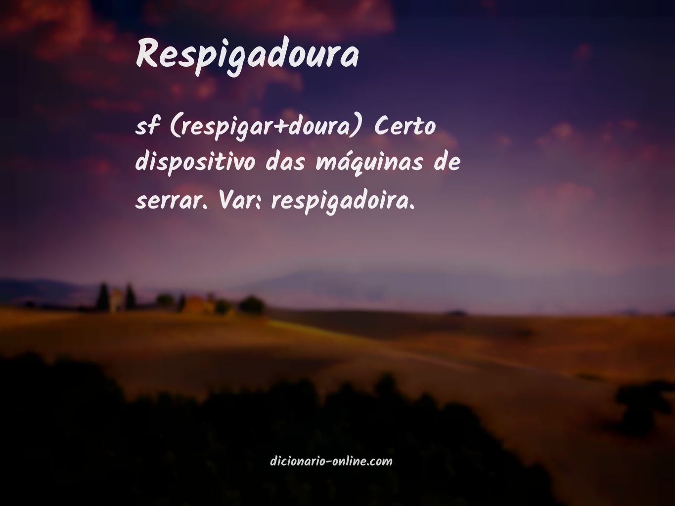 Significado de respigadoura