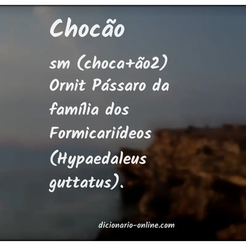 Significado de chocão