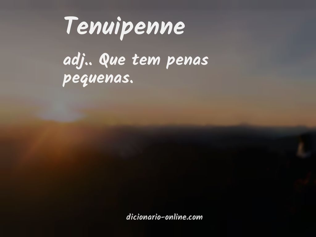 Significado de tenuipenne