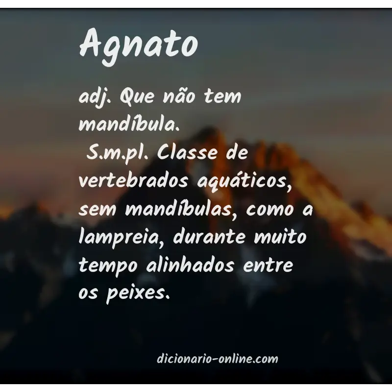 Significado de agnato