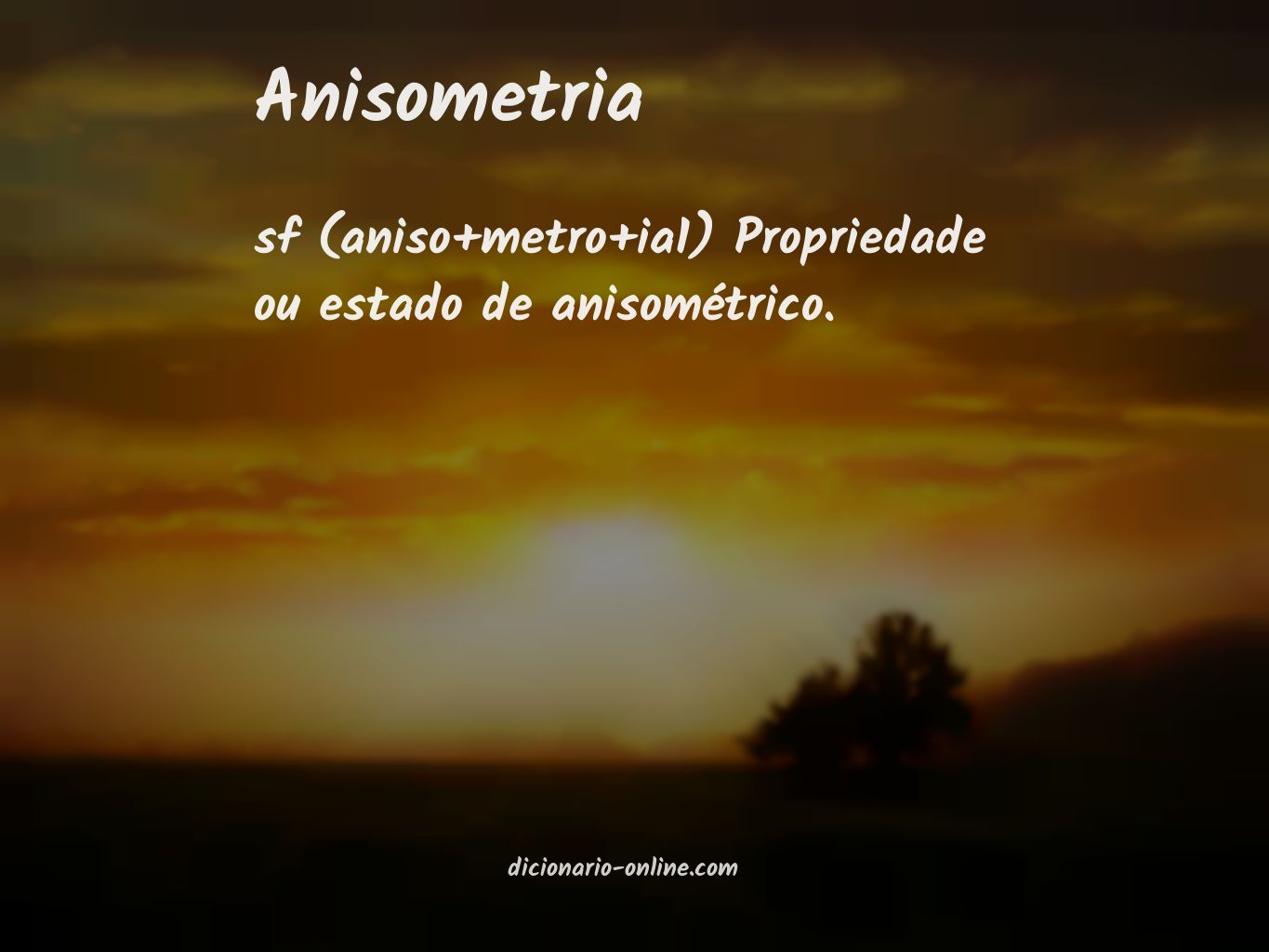 Significado de anisometria