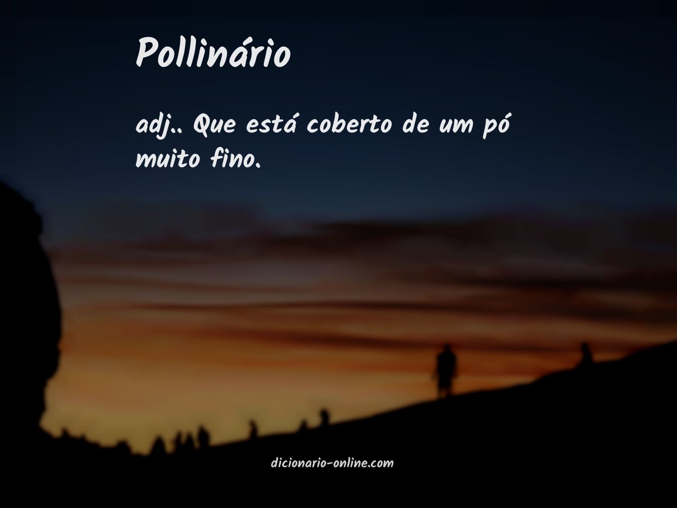 Significado de pollinário