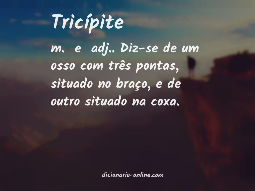 Significado de tricípite