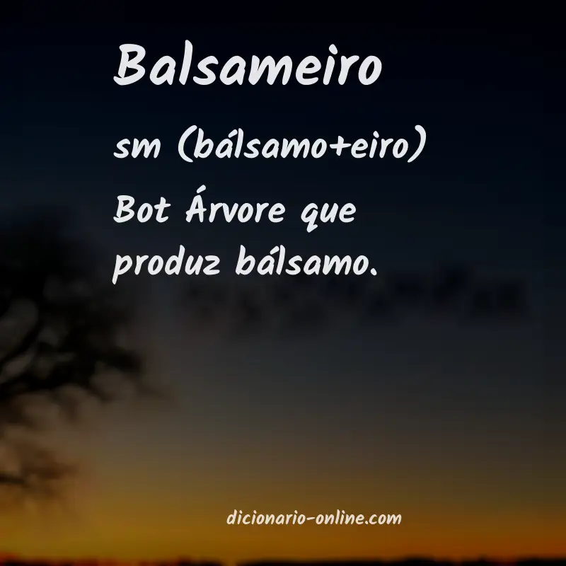 Significado de balsameiro