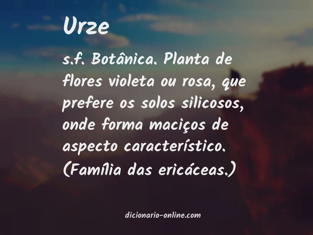 Significado de urze