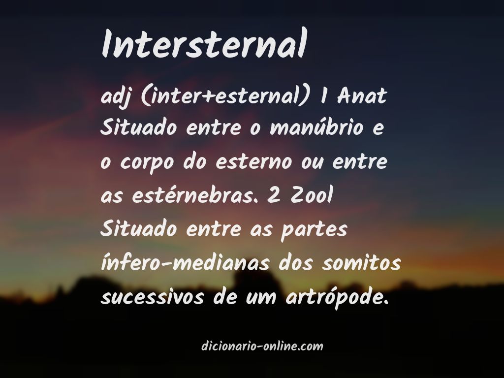 Significado de intersternal