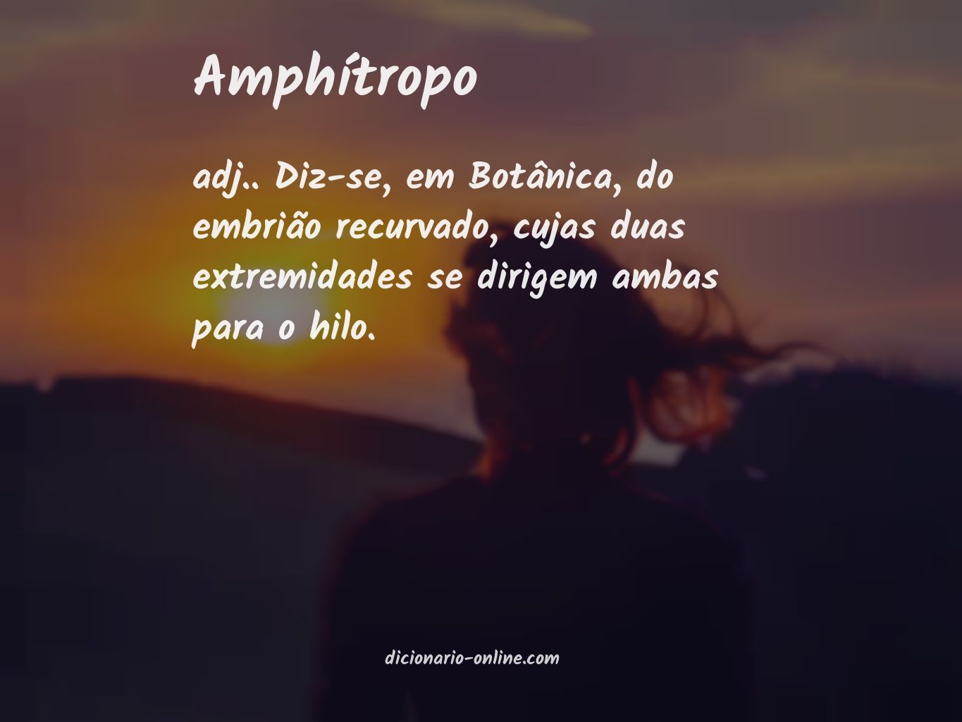 Significado de amphítropo