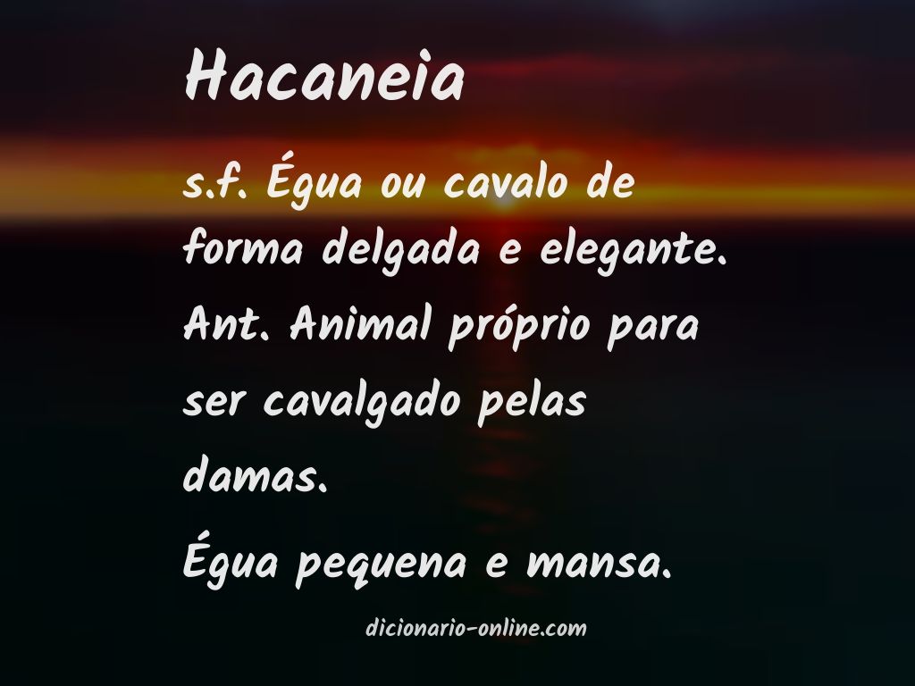 Significado de hacaneia