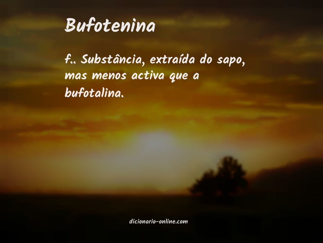 Significado de bufotenina