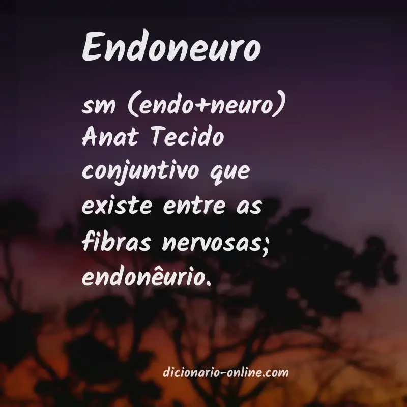 Significado de endoneuro