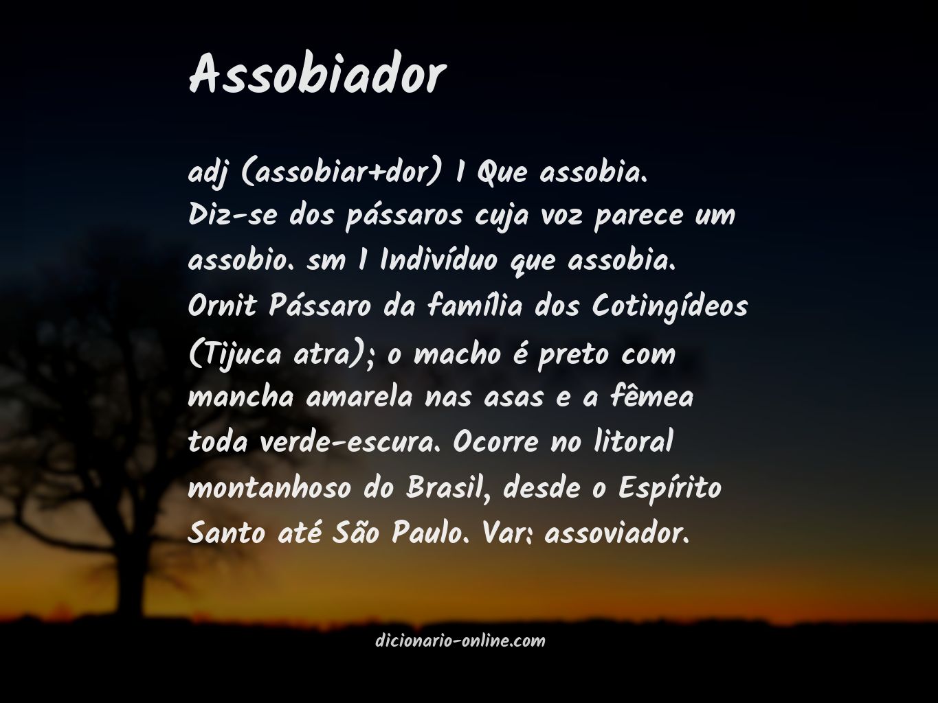 Significado de assobiador