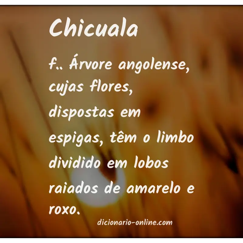Significado de chicuala