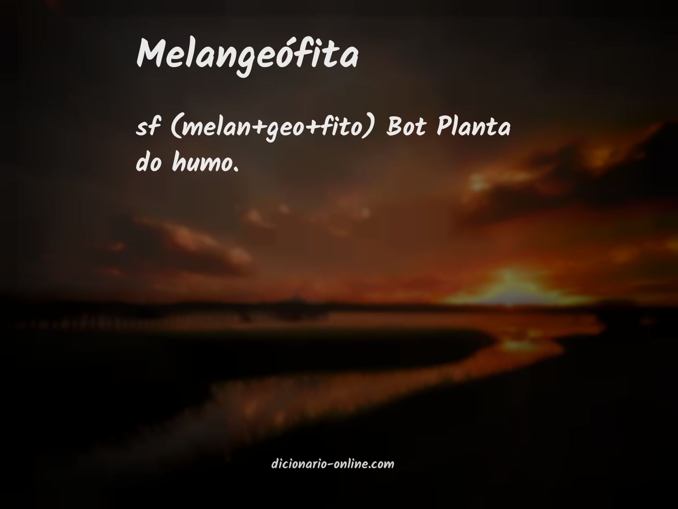 Significado de melangeófita