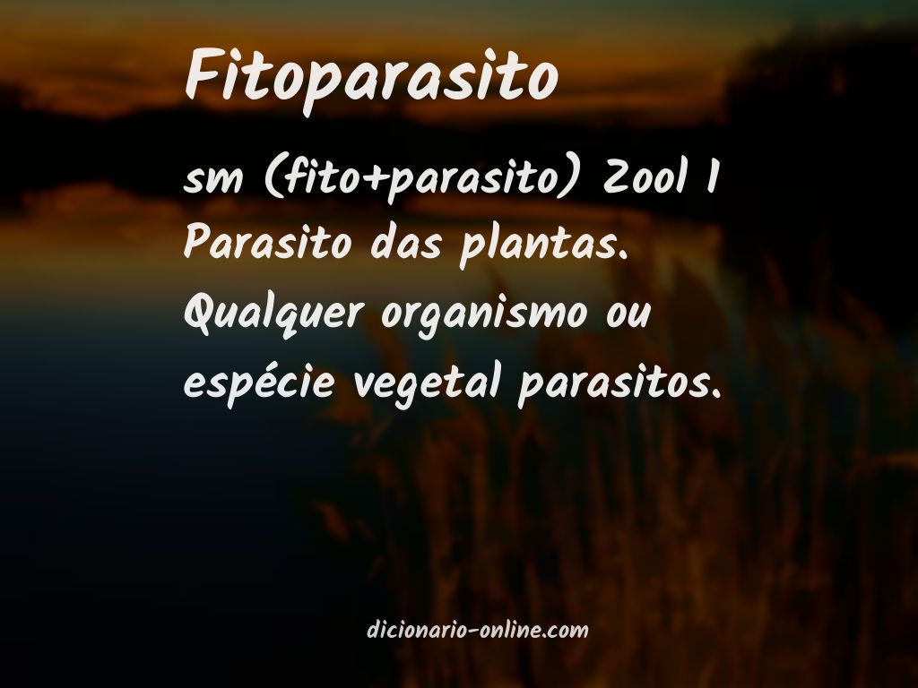 Significado de fitoparasito