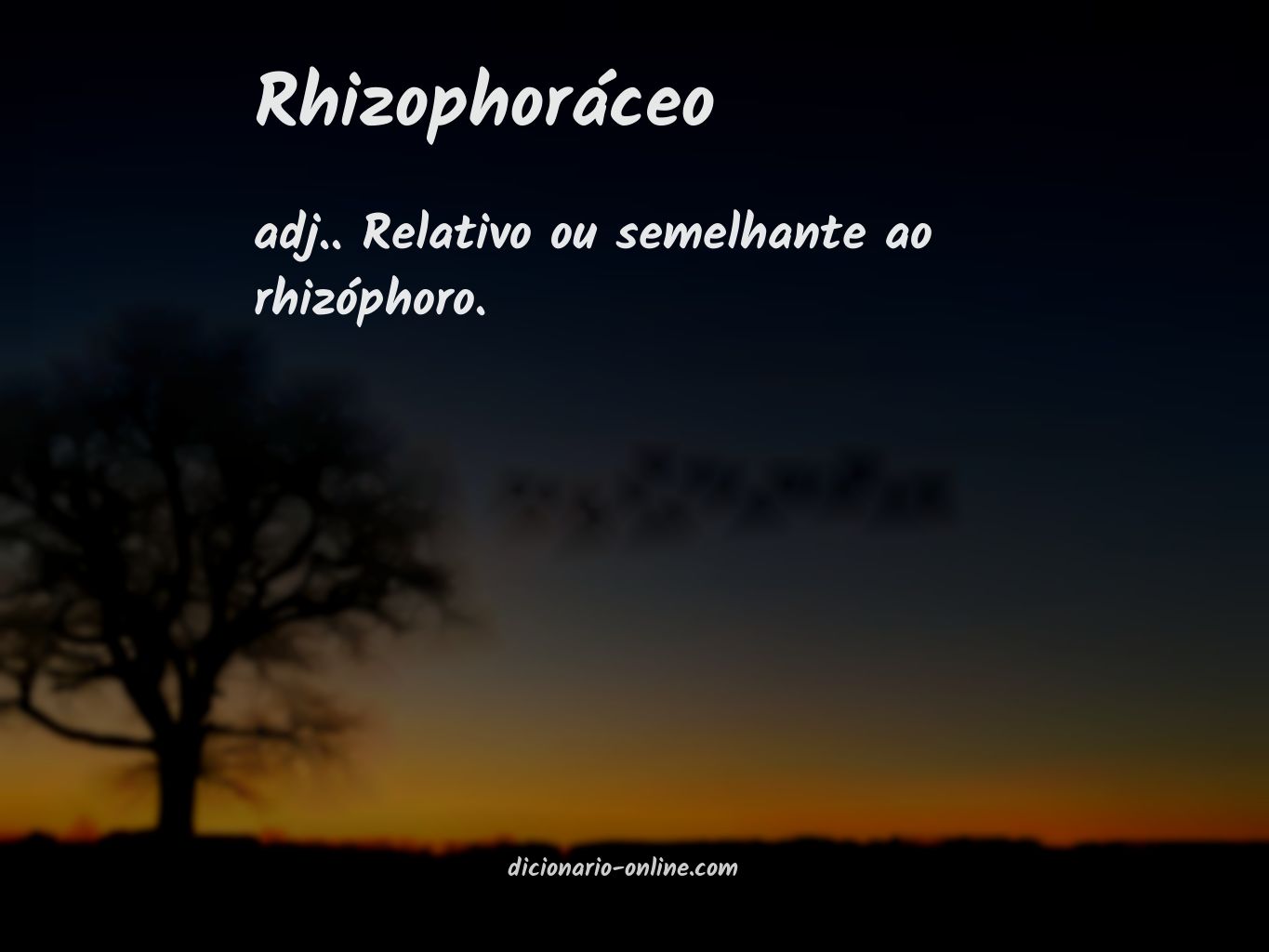 Significado de rhizophoráceo