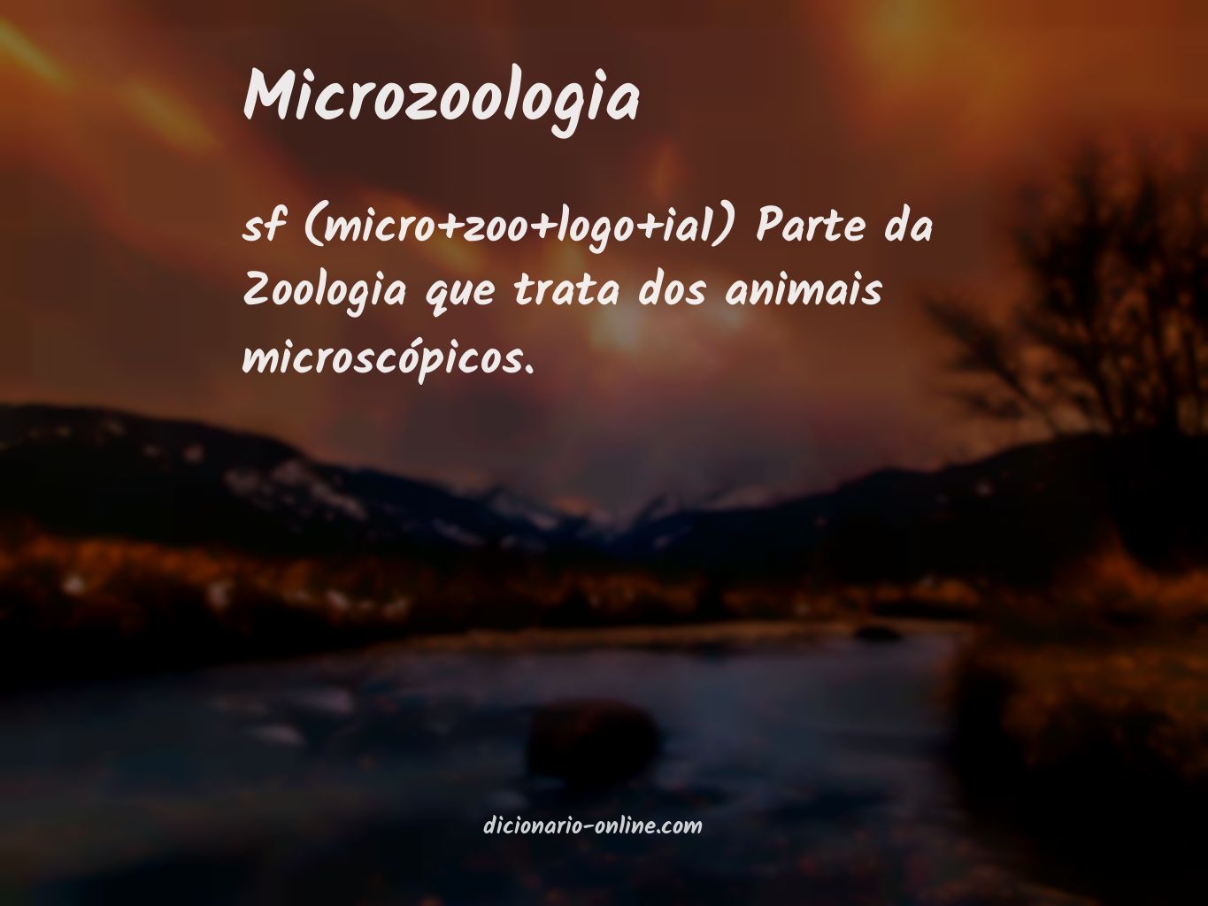 Significado de microzoologia