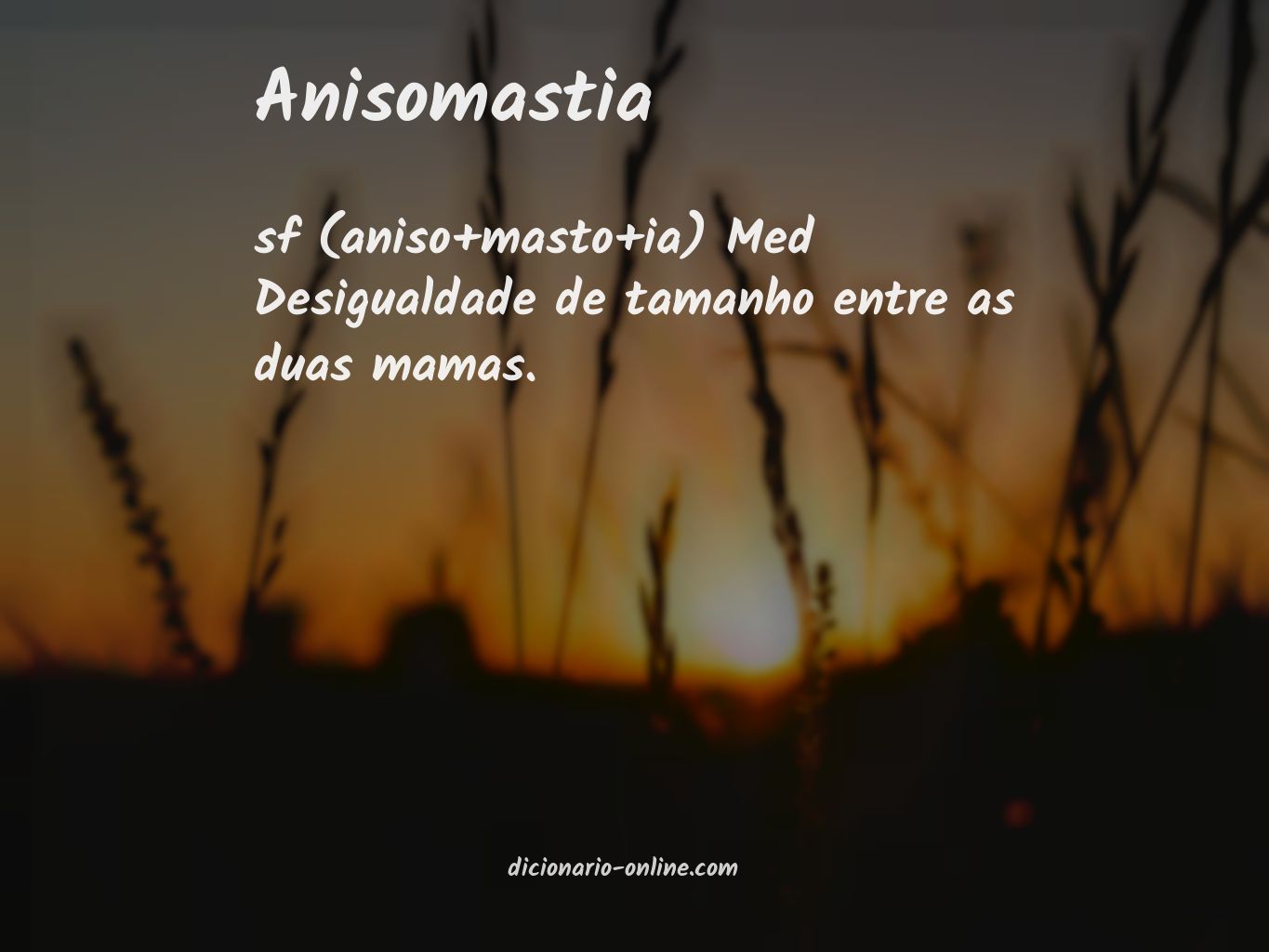 Significado de anisomastia