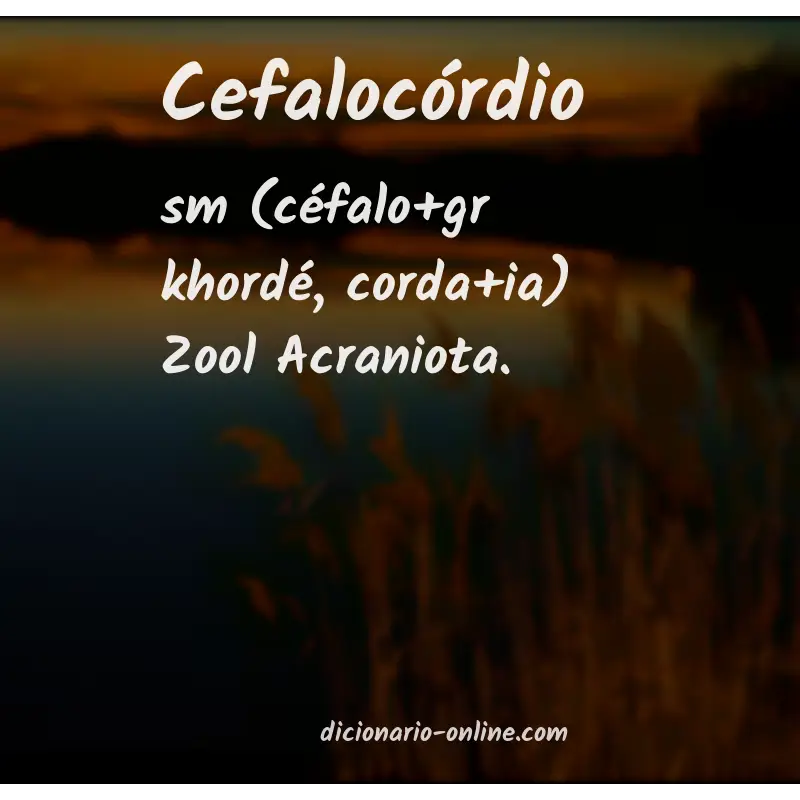 Significado de cefalocórdio