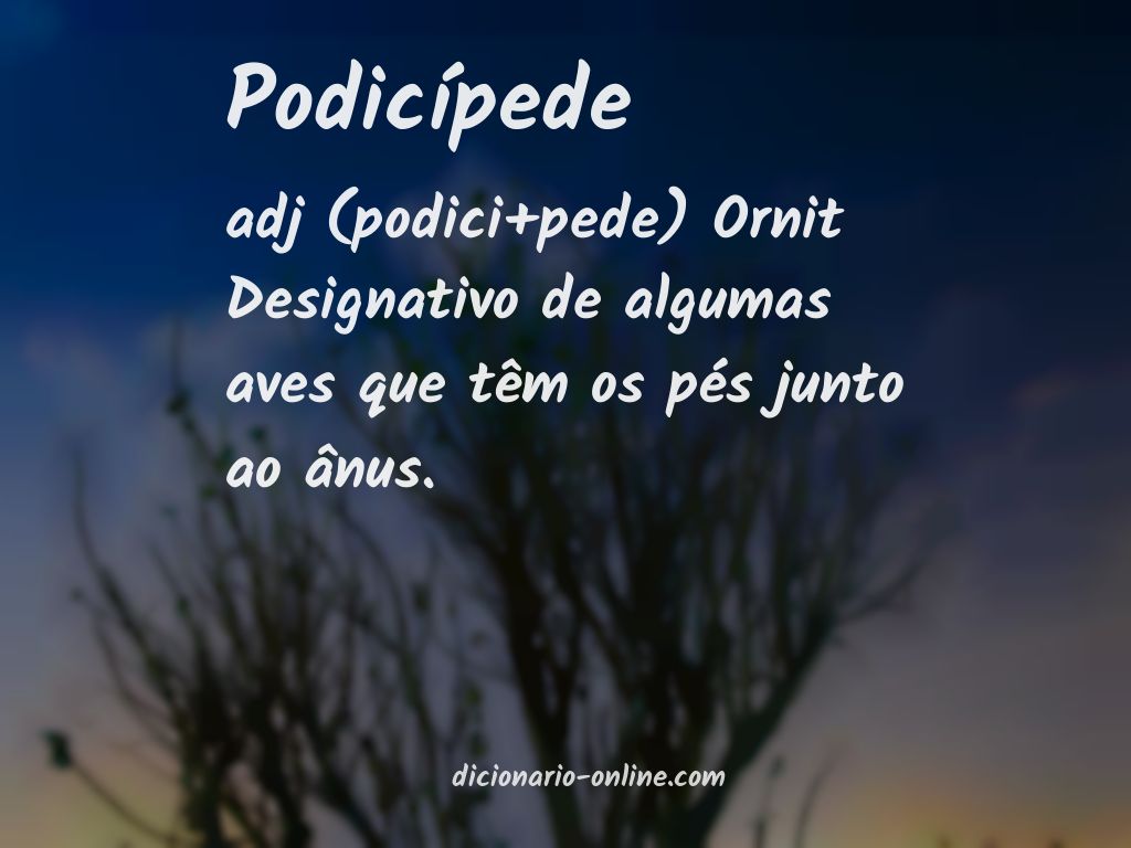 Significado de podicípede