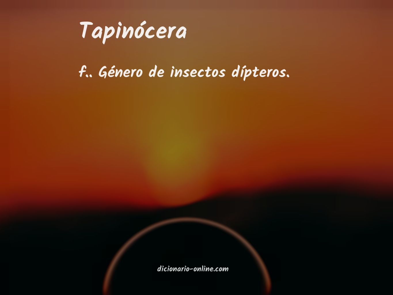 Significado de tapinócera