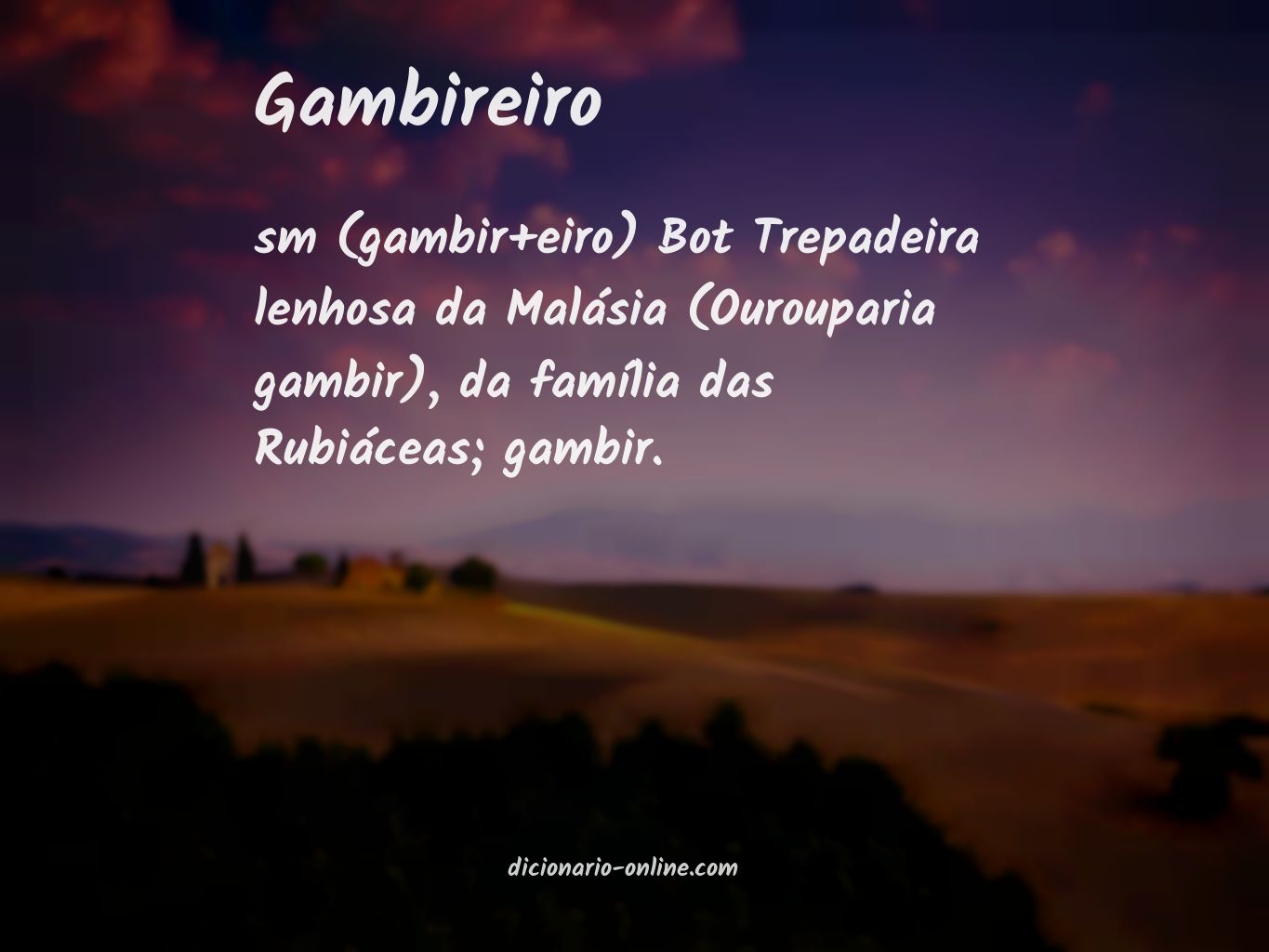 Significado de gambireiro