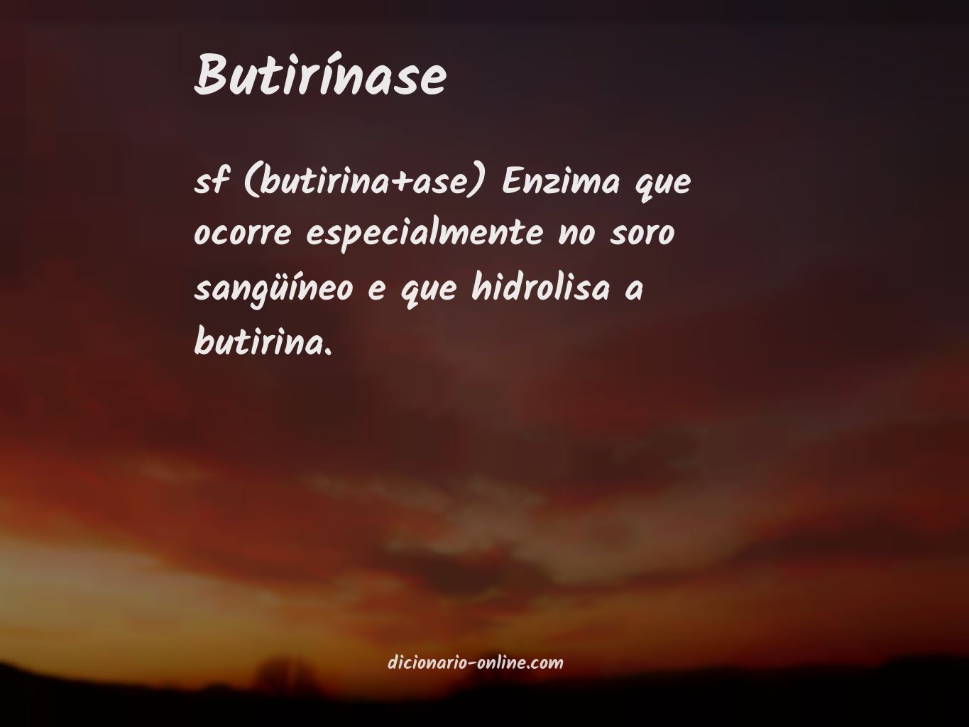Significado de butirínase