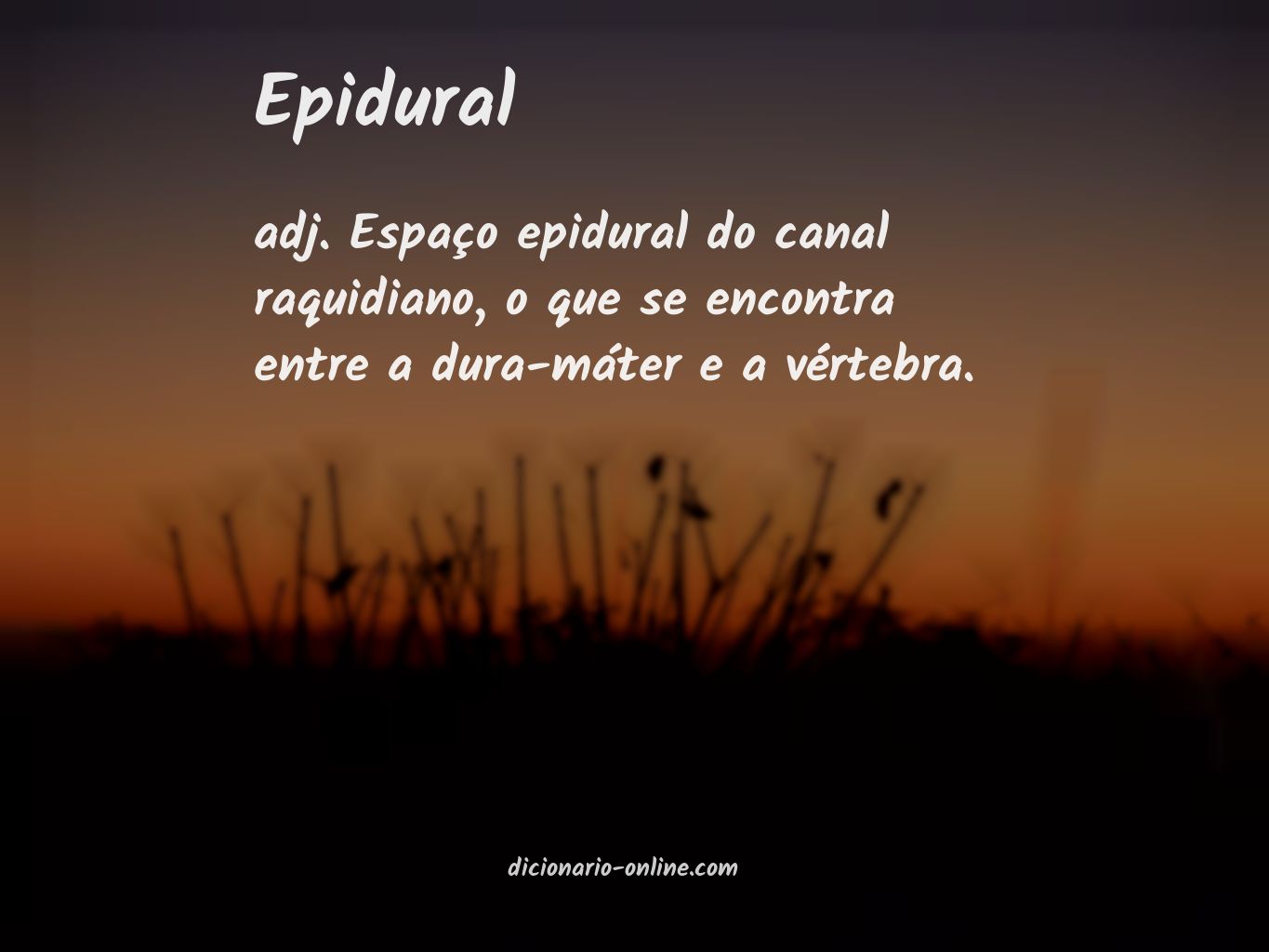 Significado de epidural