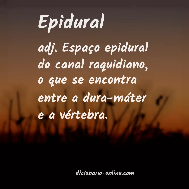 Significado de epidural