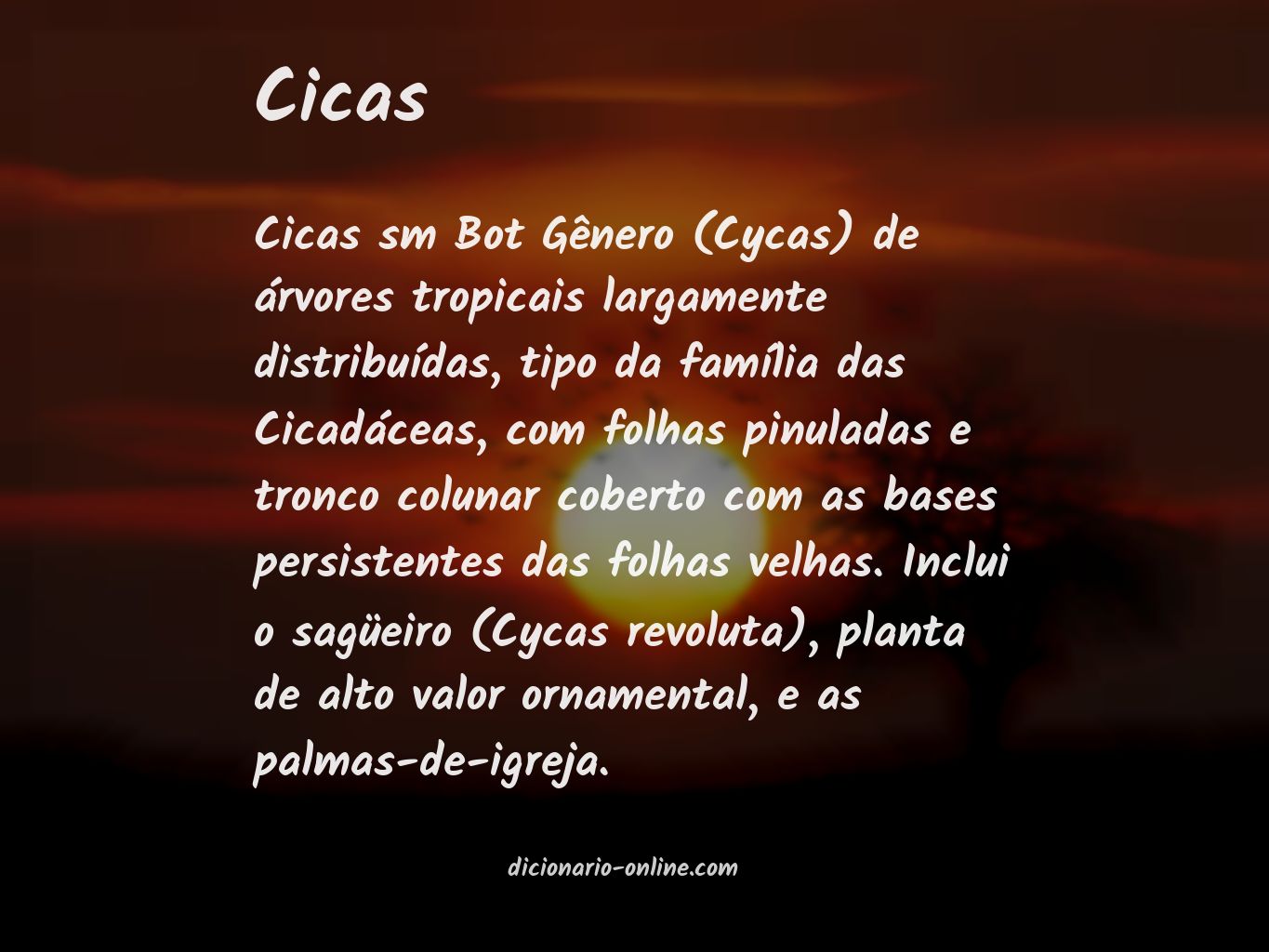 Significado de cicas