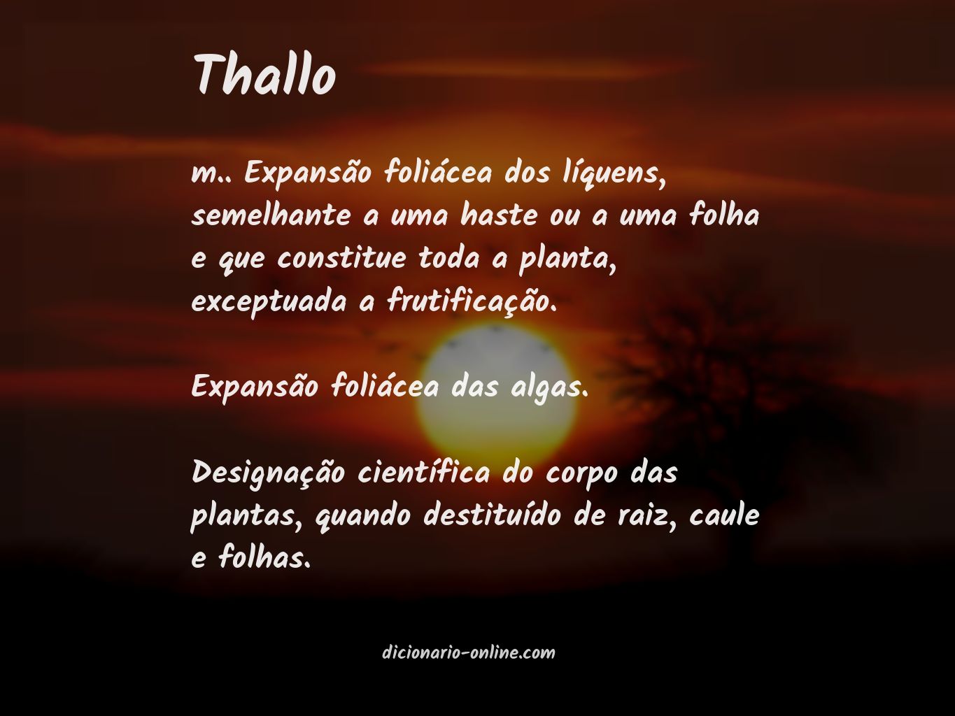 Significado de thallo