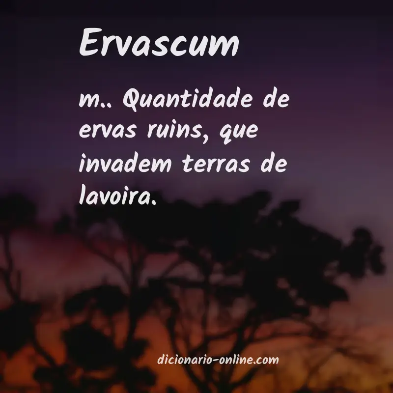 Significado de ervascum