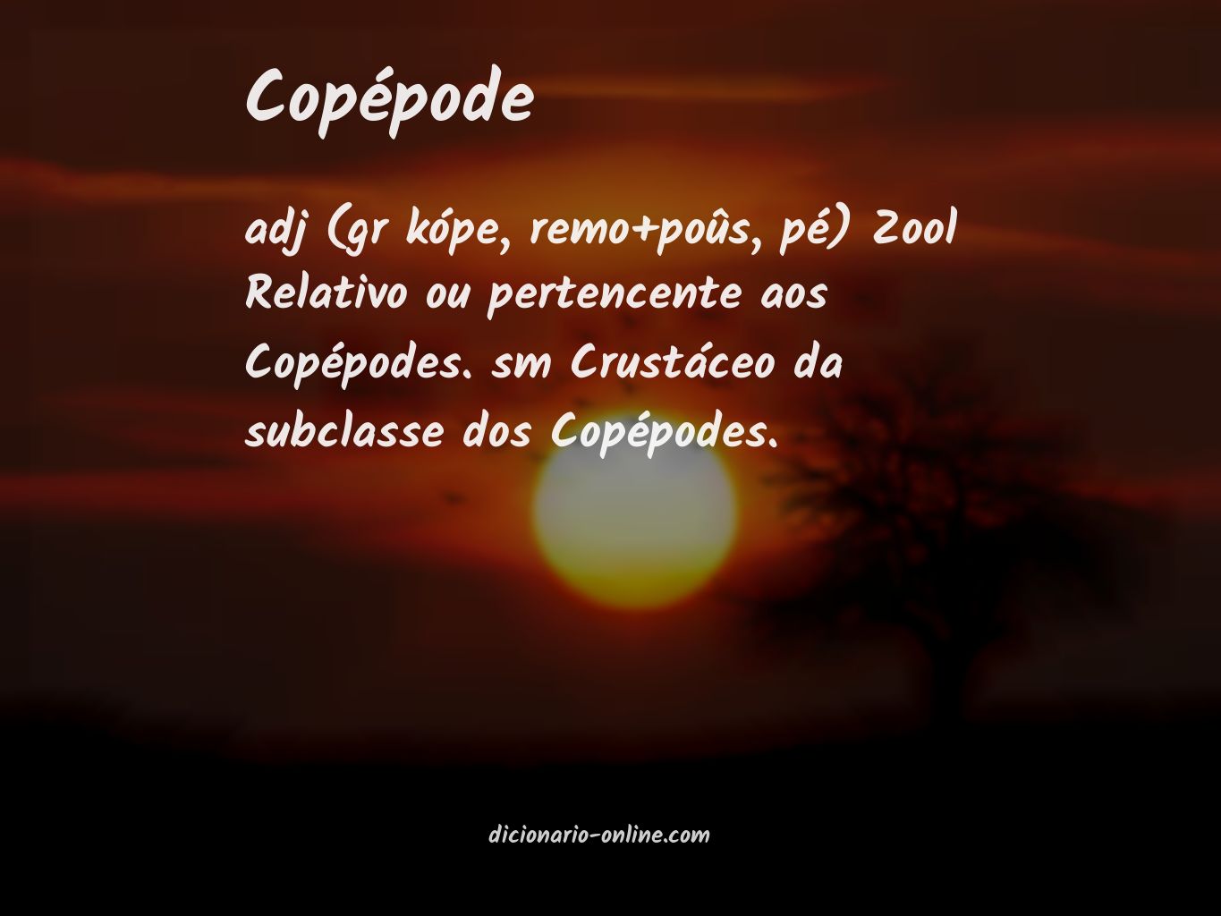 Significado de copépode