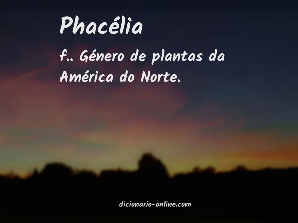 Significado de phacélia