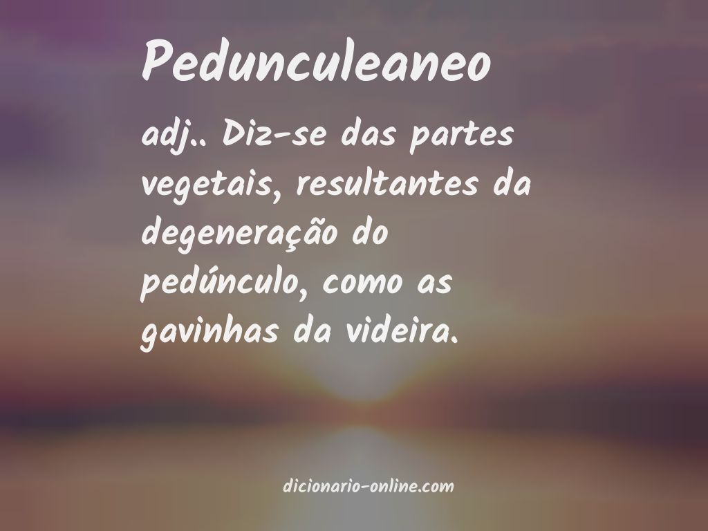 Significado de pedunculeaneo