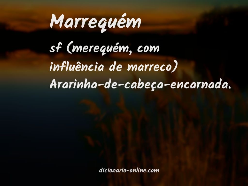 Significado de marrequém